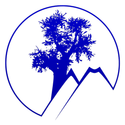 Baobab Tree Logo